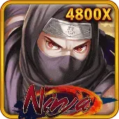 Ninja thumbnail